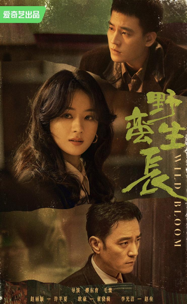 赵丽颖明年新剧,赵丽颖新剧野蛮生长定档