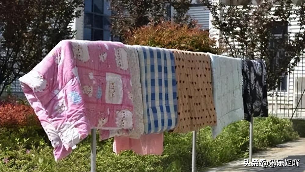 羽绒被暴晒会长虫子吗,羽绒被暴晒还有味道吗