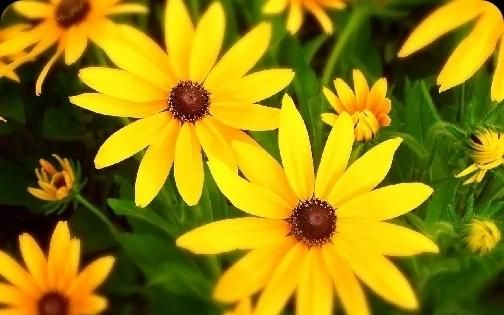 活着不要太当真人生感悟,人活着别明白太晚别活得太委屈