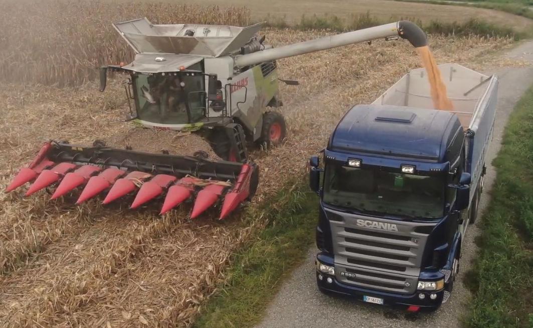 格拉斯大型联合收割机收割视频,大型克拉斯收割机工作视频