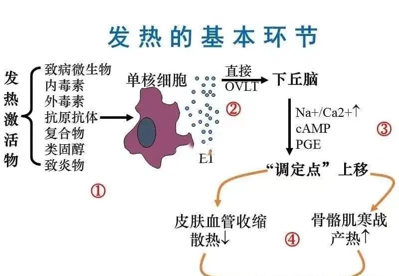 儿童甲流高烧不退怎么办,儿童甲流持续高烧怎么办