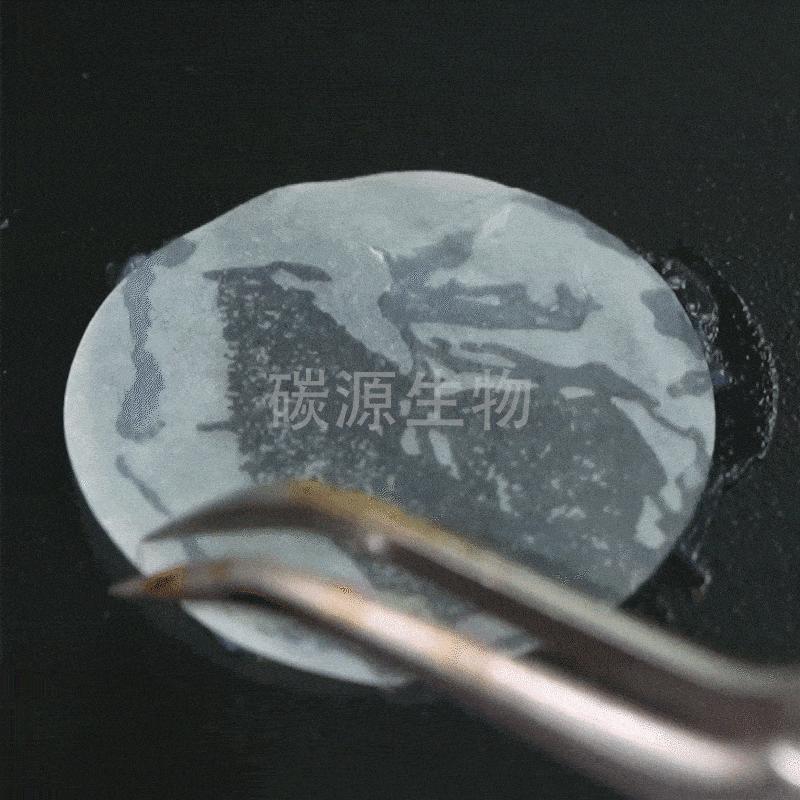 碳源生物，以无支架载体细胞薄膜创新疗法为研究方向新型生物公司