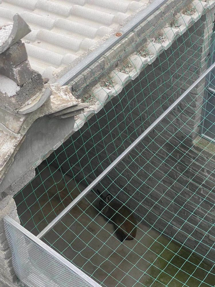 以点带面促营销,以点带面是什么效应