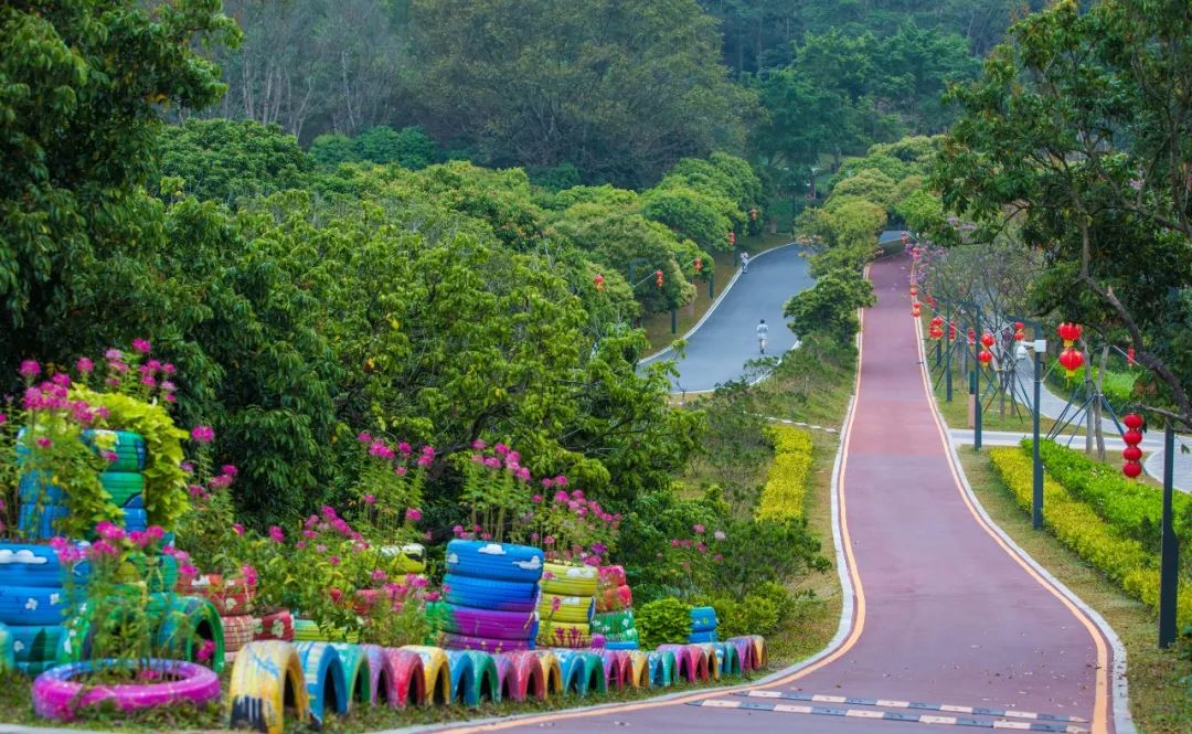 罗湖好玩拍照打卡地方推荐,罗湖游玩地点打卡攻略