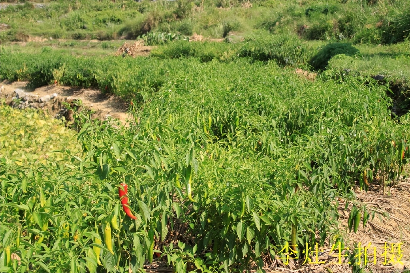 郴乐古道之水头江宜乐古道--广东省乐昌市庆云镇