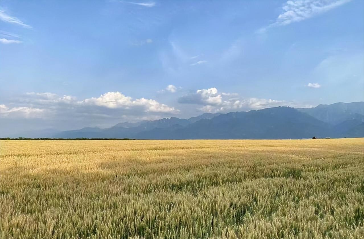 西安雨越来越多了,西安的雨怎么越来越多了