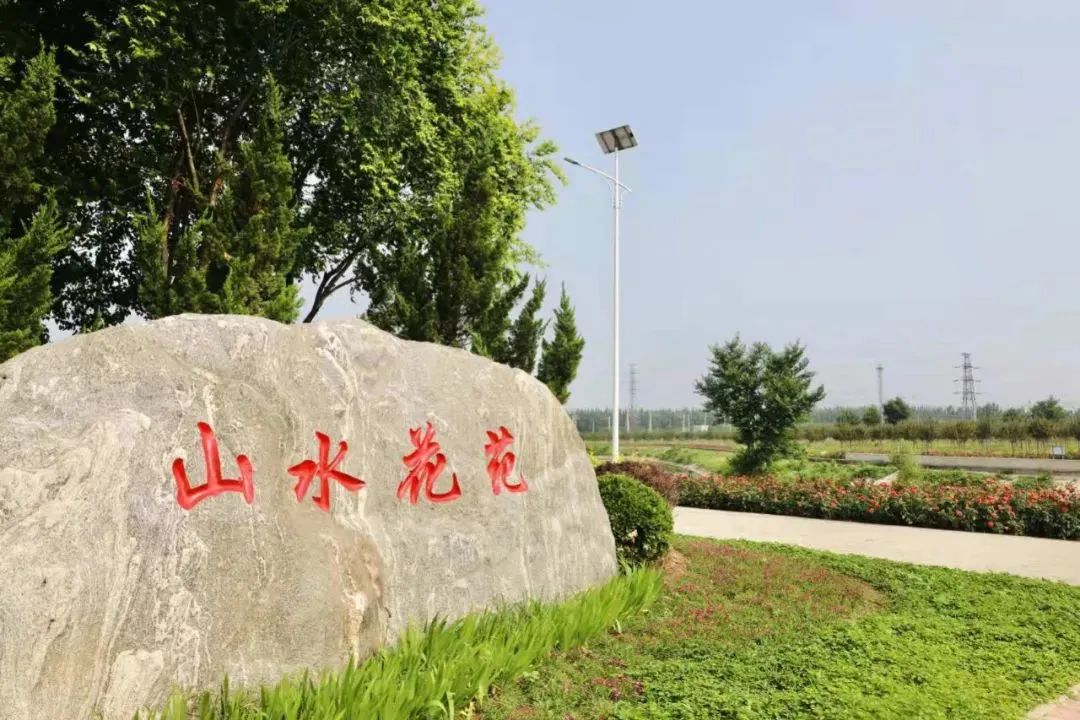 解锁乡村致富密码,想知道发财的秘密吗