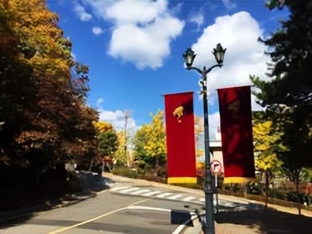 韩国高丽大学如何,高丽大学留学机构