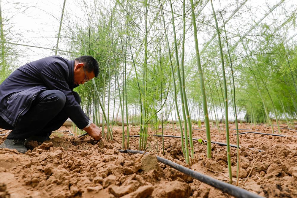 奋进新征程筑梦新时代微视频,奋进新征程筑梦新未来演讲