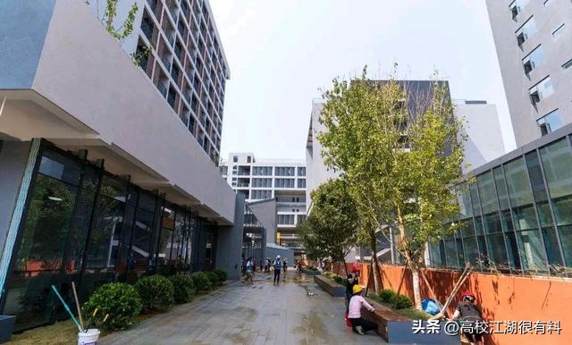 景德镇艺术职业大学新校区,景德镇筹建新大学