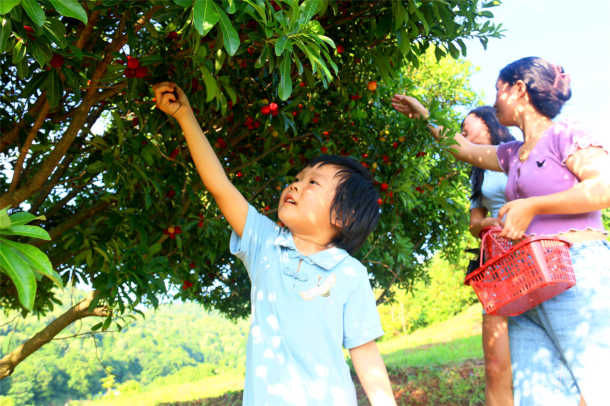 适合农村乡镇的创业小项目,农村创业做什么最适合