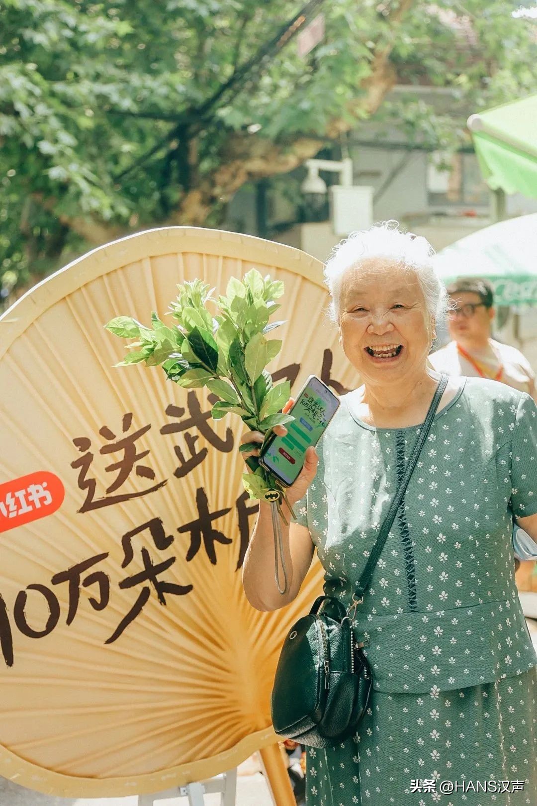 武汉一万朵栀子花,武汉人栀子花