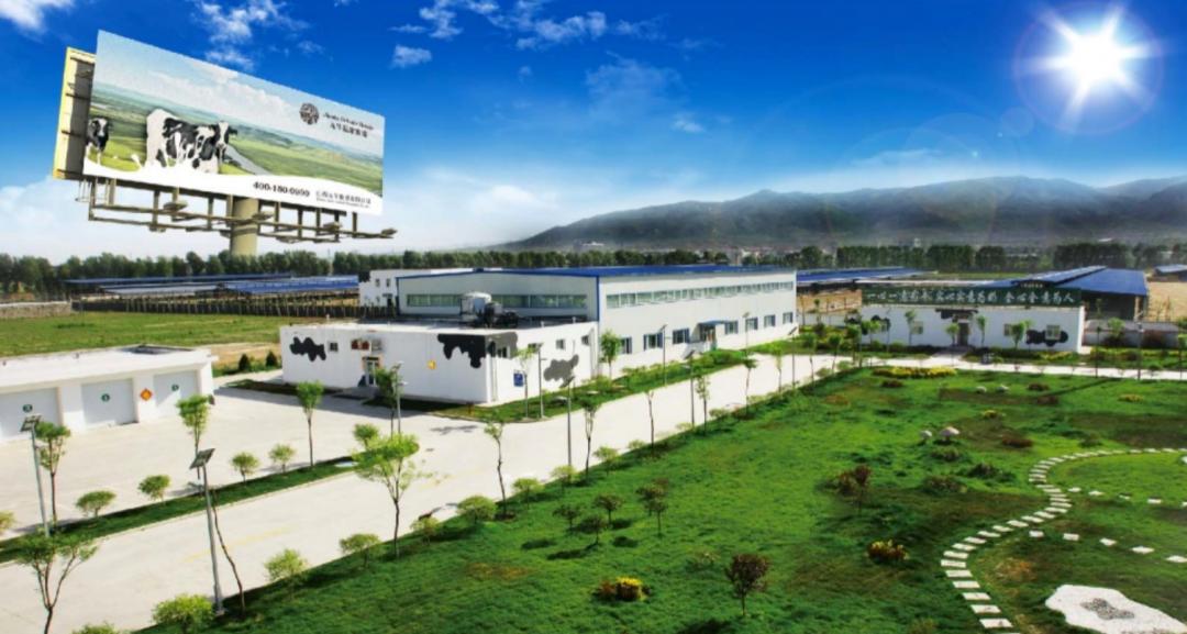 【羚佳设计案例】如何让乳业品牌成为整条街最亮的仔？