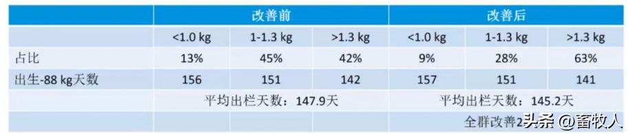 万建美博士:母仔一体化低蛋白猪料配方方案的设计与应用关键