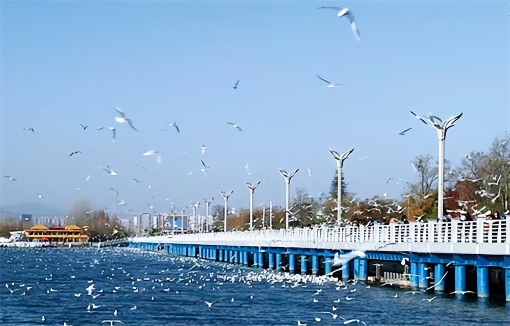 中电建昆明院珠海项目,中电建昆明城市规划设计研究院