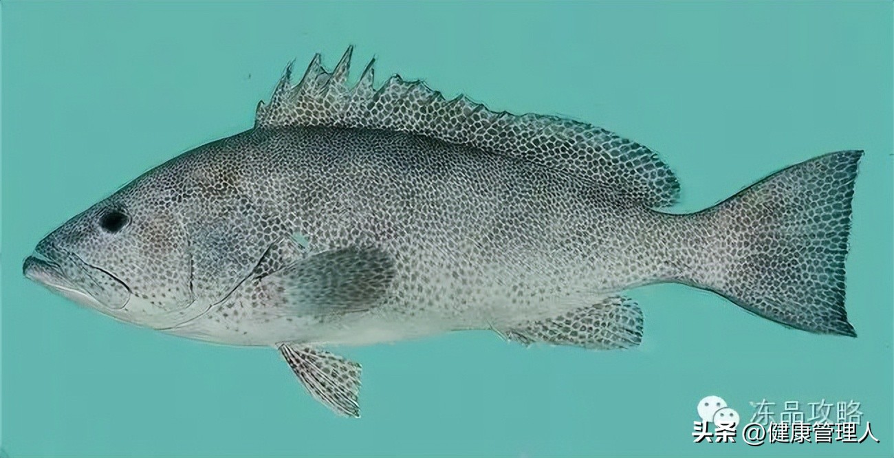 美容护肤食疗方案,美容护肤养生介绍