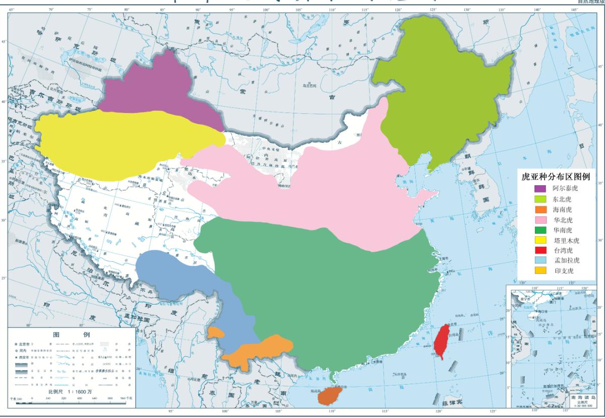 四川到处是老虎为什么不吃大熊猫,大熊猫被老虎吃掉的真实事件