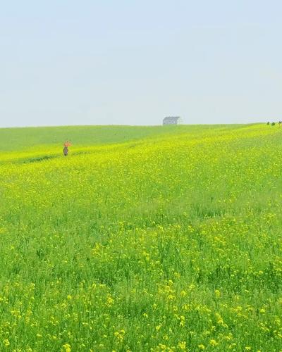 摄影镜头中的大地，既是油画也是梦境