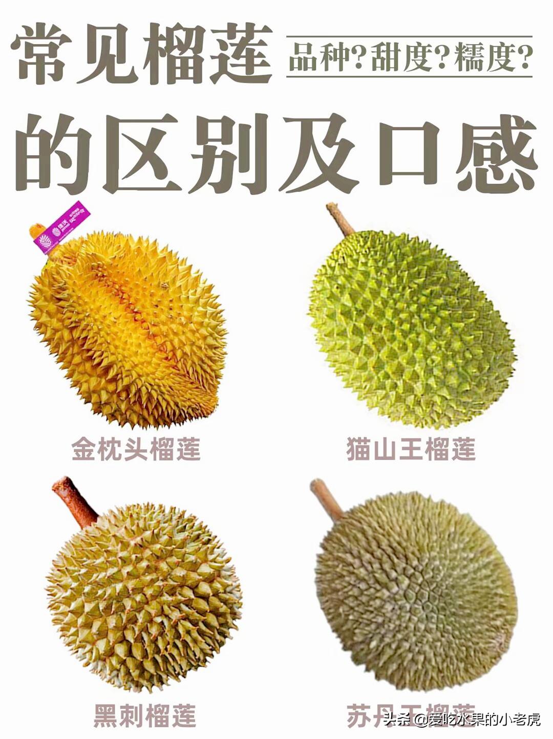 榴莲水果哪个品种最好吃,水果的知识小学生