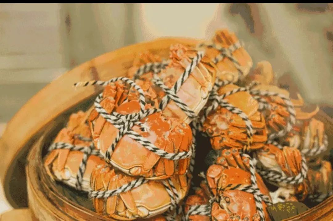 阳澄湖大闸蟹开捕啦今年价格,阳澄湖大闸蟹开捕上市时间表