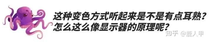 显示器的色域亮度密度,显示器的色域值用什么软件测