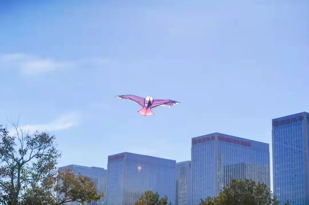 春天的天空是属于风筝的，快收藏济南这些放风筝的好地方！