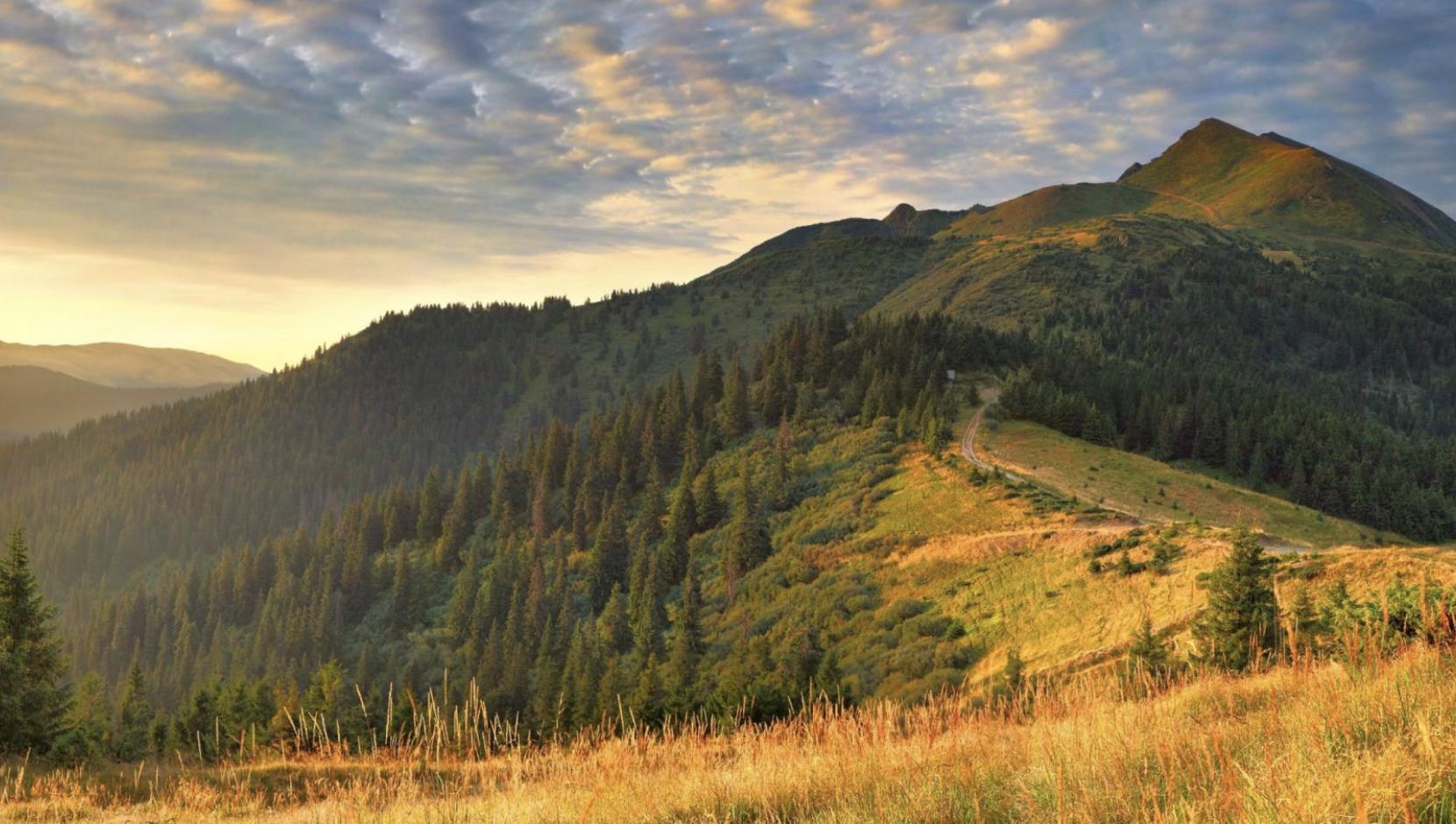 靠谱的两个品质,品质靠谱的床垫