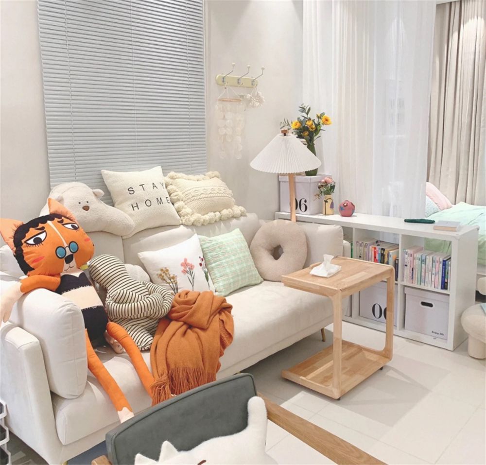 二十几平米的小蜗居,女生独居小户型一室一厅