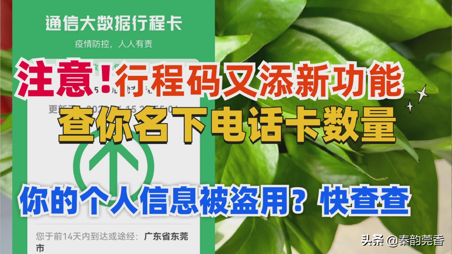 新办的电话卡可以查行程码吗,查询自己名下的电话卡是否被标记