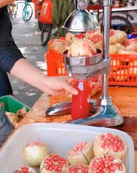 每日一笑逗乐妹子,每日一逗完整版