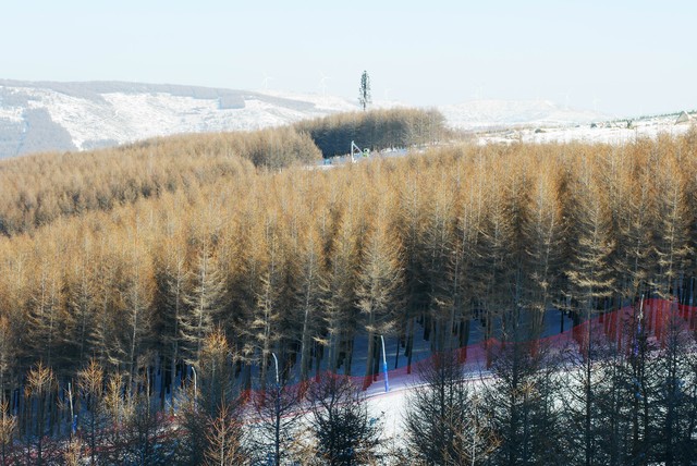 崇礼万龙滑雪场的介绍,崇礼万龙滑雪场