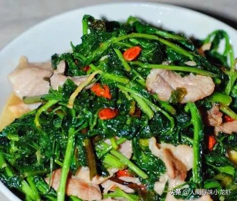 香辣枸杞头的做法,鲜嫩的枸杞头怎么吃