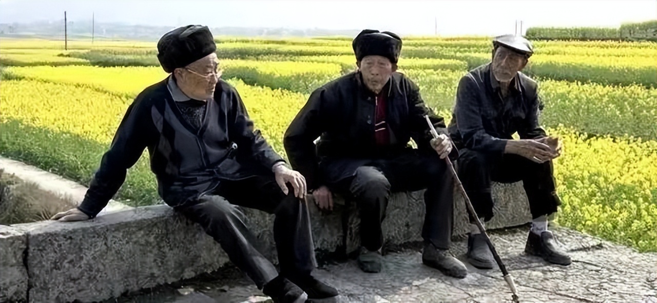 保健品山药粉骗局专骗老年人视频,面粉掺伟哥事件