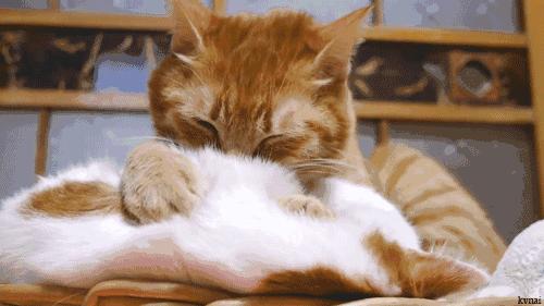 开工办公好物,开工大吉努力上班好好赚钱