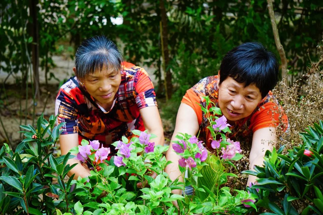 姹夐槼鏂板煄,鏂板煄宕涜捣鎺㈢洏