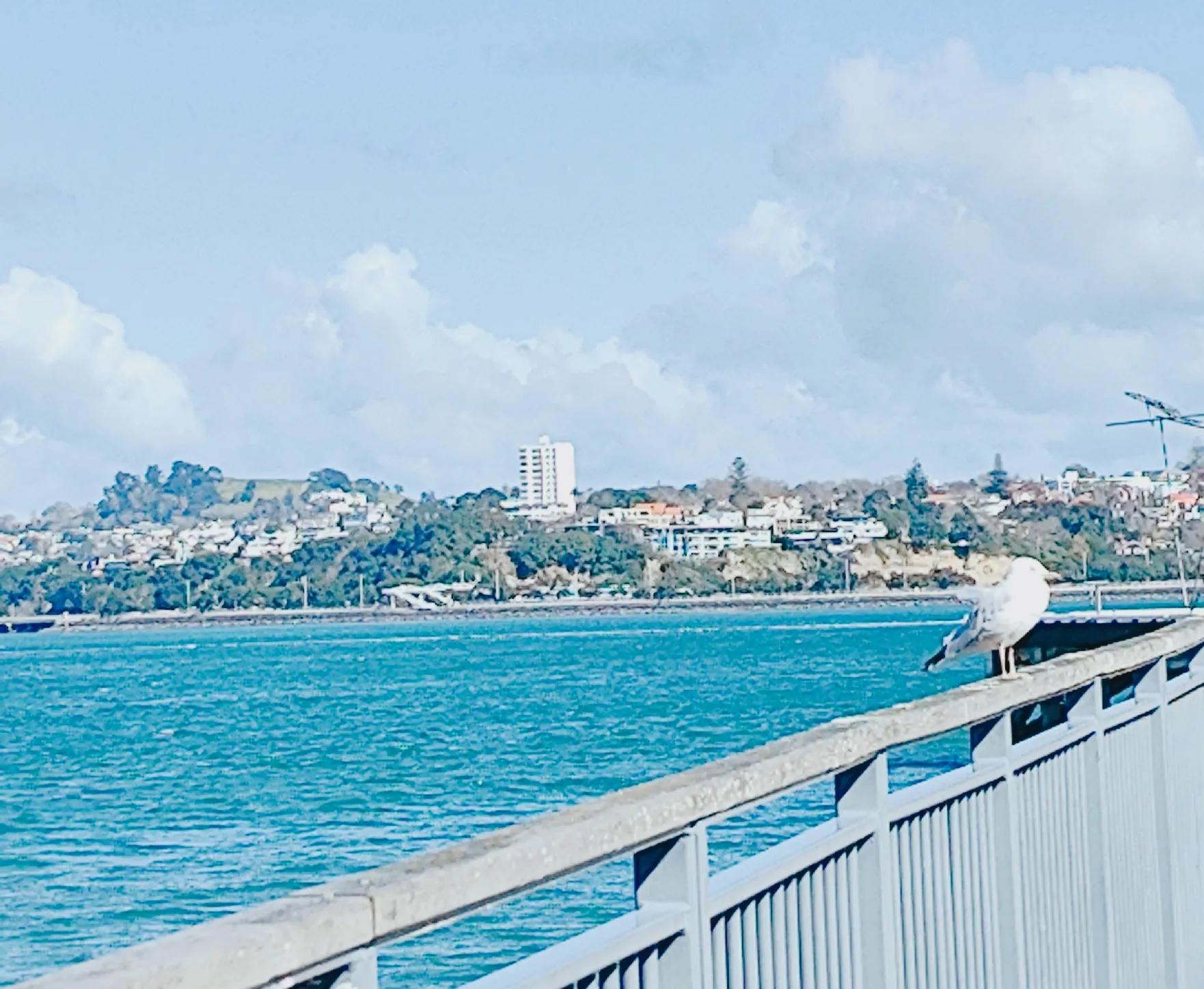 七夕节的相关诗词句,七夕节唯美诗句图片