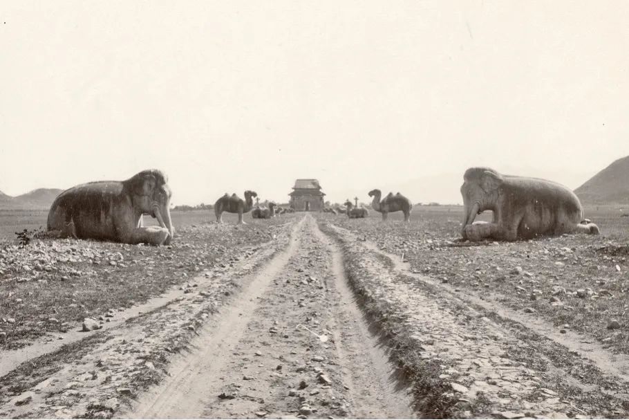 媒体“网事”丨古“网”今来！沉睡的历史，被“昌平记忆”唤醒