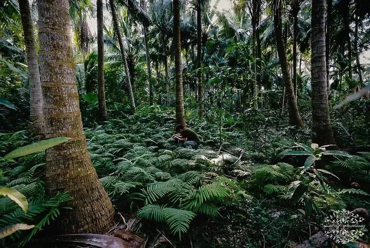 陵水的这些小众景点你会选哪个呢,海南旅游小众城市陵水哪里