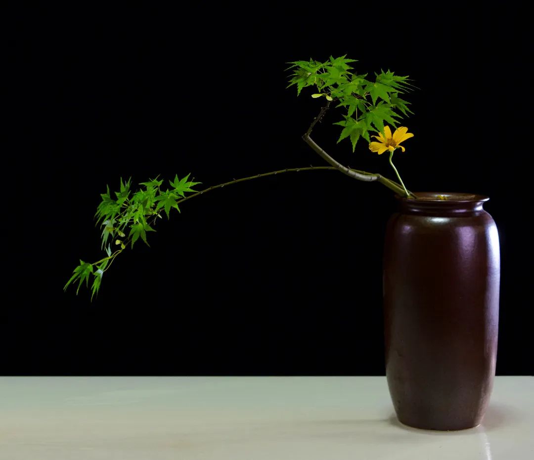 「今晚直播」东方自然风倪志翔：木本枝条在插花中的应用