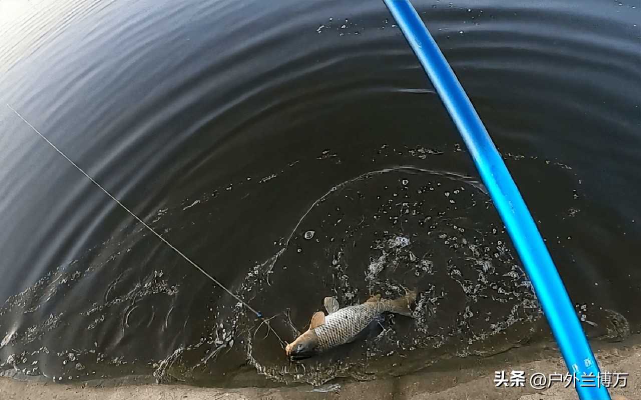 购买鱼竿有哪些要注意的问题,购买鱼竿的正确方法