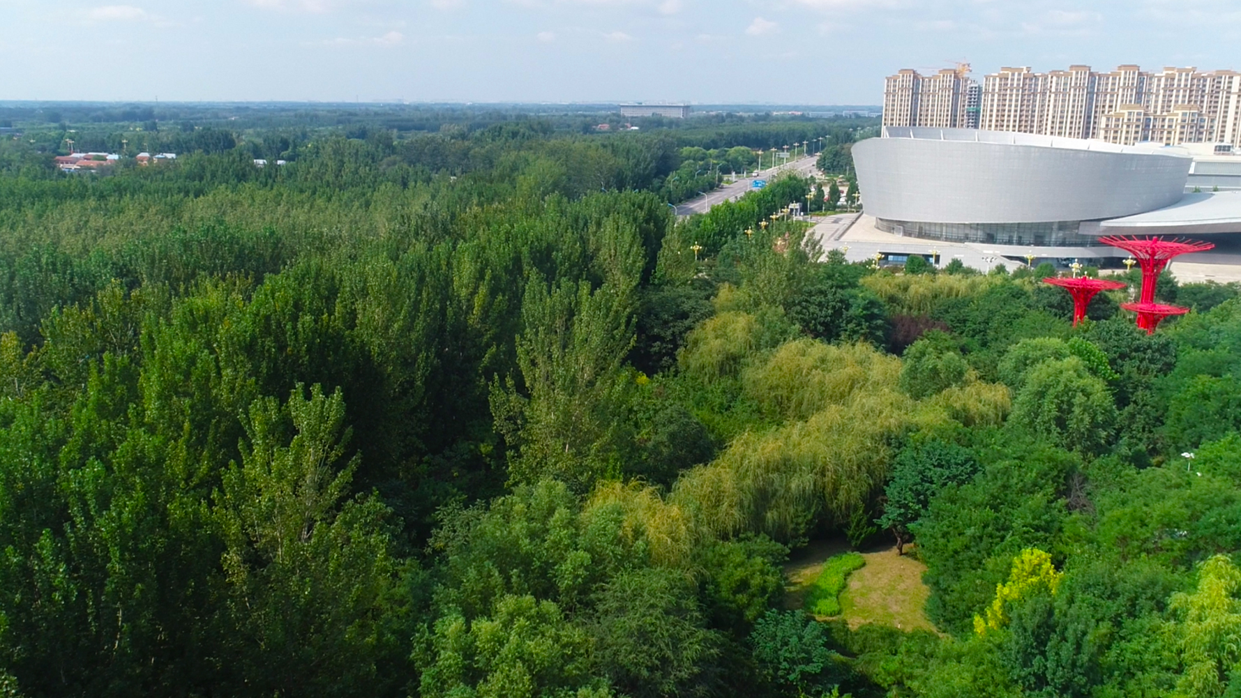 枣强森林公园和千亩森林公园,衡水枣强县天然氧吧