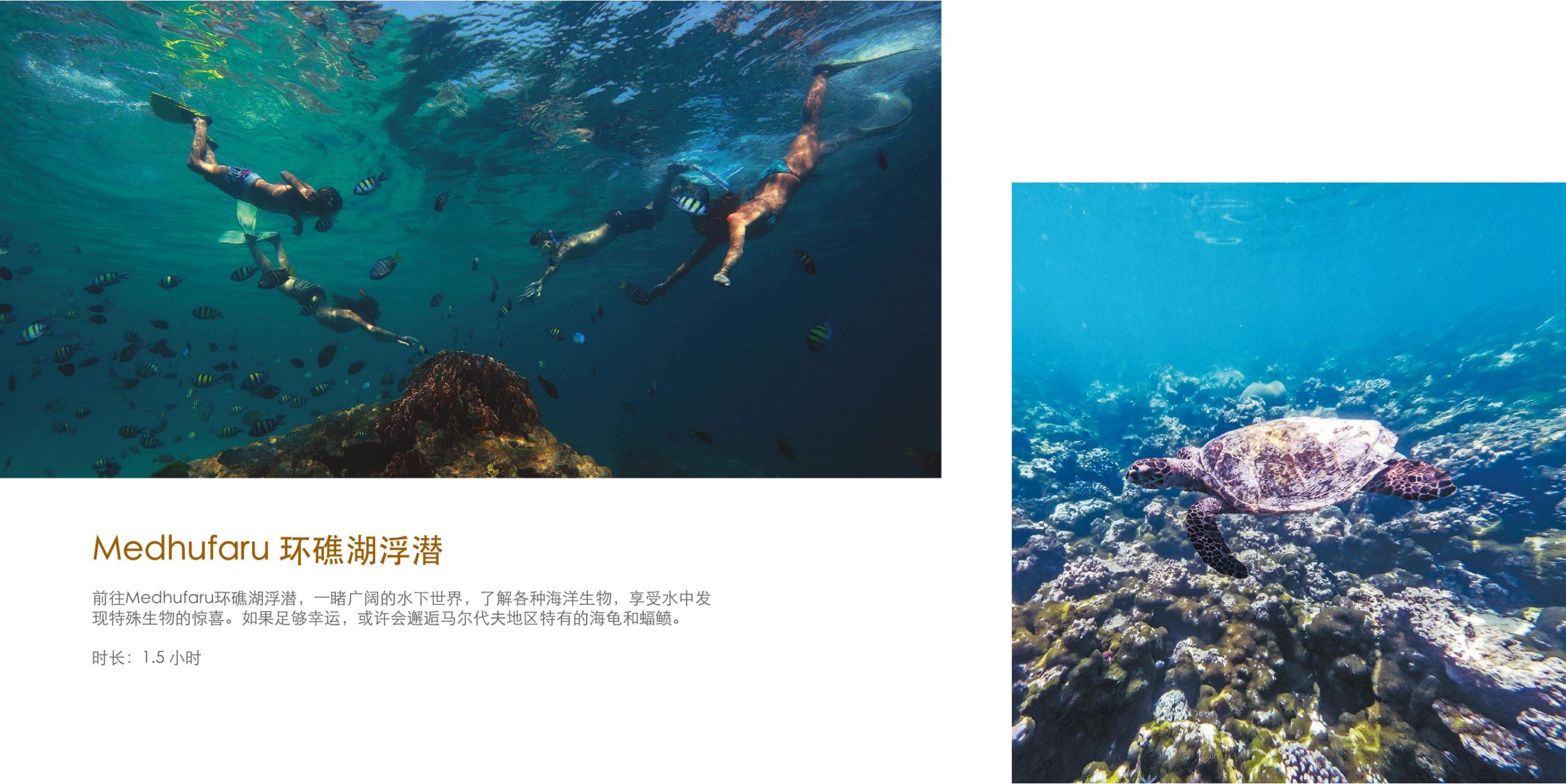 稳居海岛度假热门的马尔代夫top榜第五篇（排名不分先后）