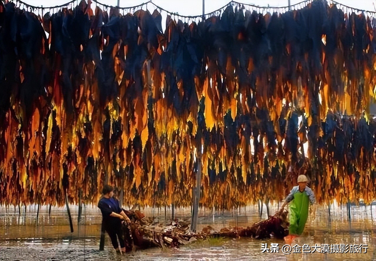 【2023年霞浦摄影团】诗画滩涂·霞浦风光人文5日摄影