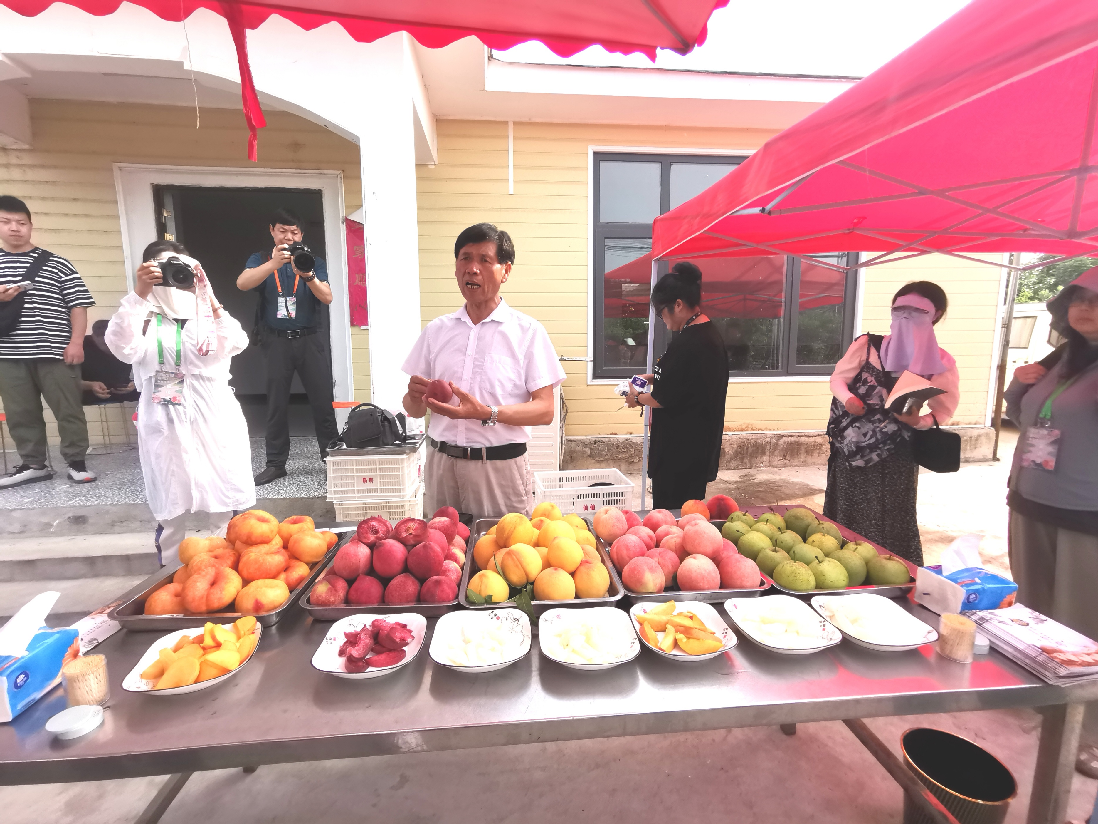 襄阳老河口市乡村振兴有哪些项目,湖北省老河口市乡村振兴工作重点