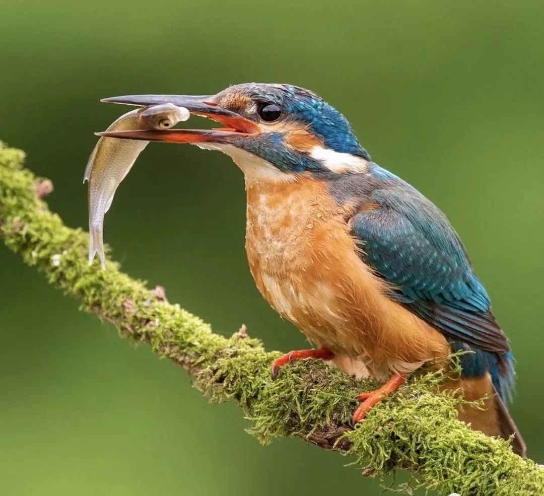 学习优秀摄影作品,摄影教学作品欣赏