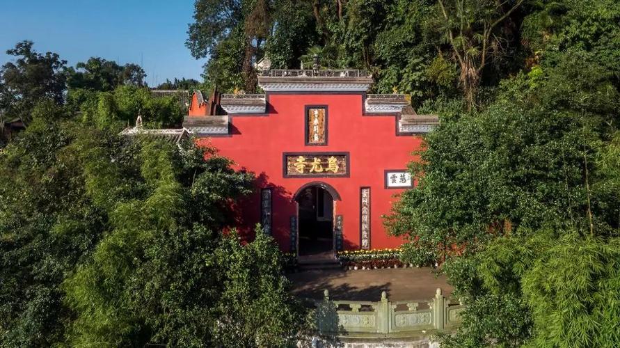 龚静染真实照片,龚静染