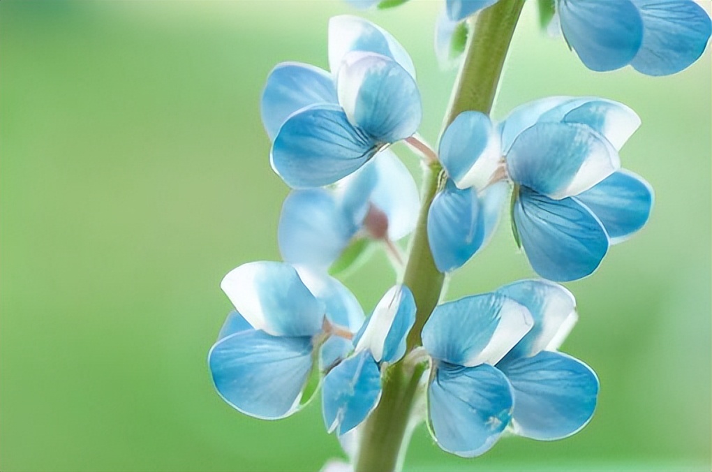 朋友圈说说配图简单干净,失眠的说说发朋友圈短句干净