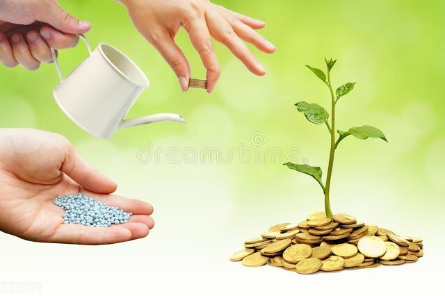 李昌平：乡村振兴关键靠发展产业？