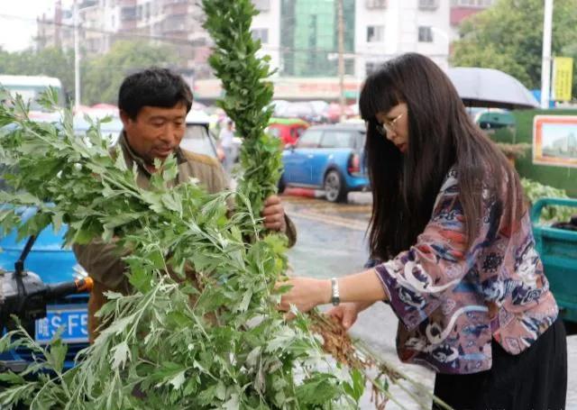 端午节挂艾草南方与北方有区别吗,端午节挂艾草挂二茬的艾草好不好