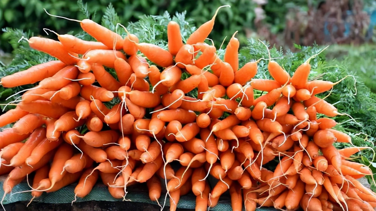 抗皱纹的天然食物,可以防止皮肤皱纹生成的食物